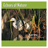 Twilight - Echoes of Nature