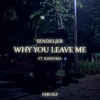 Why You Leave Me - Sendeljer&Ferualf&Kaysuma