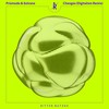Changes (Digitalism Remix) - Prismode&Solvane&Max Joni