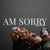 Am Sorry - Kelvin Dooe