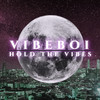 Hold The Vibes (Explicit) - vibeboi