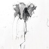 낙화 (Falling Flowers) (Inst.) - 성태