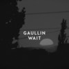Wait - Gaullin&Linas Gaudutis