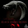 Black Snake Moan - Liz Blair