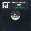 Gone Away - Angus Green&Tigs