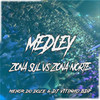 Medley Zona Sul Vs Zona Norte (Explicit) - DJ VITINHO BDP&Mc Menor do Doze