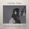 Desde El Templo 03 (Explicit) - Cvlturamx&Hierba Mala