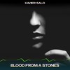 Blood from a Stones (Big Chill Mix, 24 Bit Remastered) - Xavier Salo