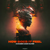 How Does It Feel - N-Chased&Zach Oliver&Alfred Bolzoni Malasi&Zach Oliver Boswell