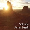 Solitude - James Leeds