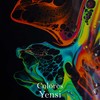 Colores - Yensi