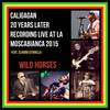 Wild Horses (20 Years Later Recorded Live at La Mosca Bianca 2015) - Caligagan&Claudio Citarella