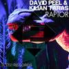 Raptor (Original Mix) - David Peel&Kilian Taras