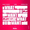 What U Want - Mark Mendy&Jordan Rys&leøn