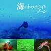 魚になれた日 (エンディングテーマ) - 黒石ひとみ