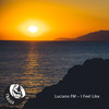 I Feel Like (Original Mix) - Luciano FM