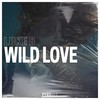 Wild Love (Extended Mix) - Luke B