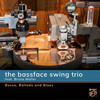Stardust - The Bassface Swing Trio&Bruno Müller