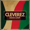 Disco Boogie Stuk (Rem Mix) - Cleverez