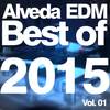 Elite (Original Mix) - Gordon's Deejays&Aidan van Hasselt&Falcos Deejay