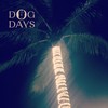 Desire Lines (Revisited) - DOG DAYS