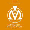 Bits And Pieces (OD404 Remix) - Artemesia&Patrick Prins
