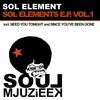 Need You Tonight (Original Mix) - SOL Element