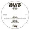 Never (Ben Rau Remix) - Seb Zito