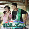 Temulawak(feat. Gery Mahesa) - Lala Widy&Gery Mahesa