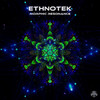 Morphic Resonance (Original Mix) - Ethnotek