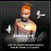Tribute to Skari - Hitler SA Massive Production