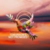 Tomorrow's Not Promised - Myoa
