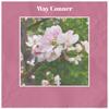 Mum Collection - Macka