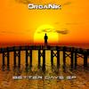 The Light Within (Original Mix) - Organik