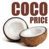 Coco Price (Original Mix) - Isaac Shake