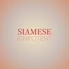 Slain Whichever - Maelo Huis