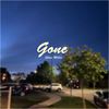Gone (Explicit) - Ethan Miller
