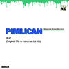 Hurt (Original Mix) - Pimlican