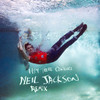 Hey There Cowgirl (Neil Jackson Remix) - Palm Springsteen&Neil Jackson