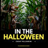 In The Halloween (Original Mix) - Cekay Pellegrini