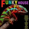 Getting Over (Funy House Mix) - Phunk Elevator