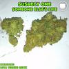 Someone Else's Life (Original Mix) - Suspect One