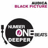 Black Picture - Audica