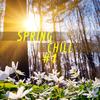 Springs Coming (Remix) - Cemre Akcam&DJ Rigi