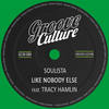 Like Nobody Else (Radio Edit) - Soulista&Tracy Hamlin