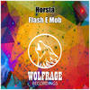 Flash E Mob (Original Mix) - Horsta&Wolfrage