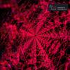 Drumming (Original Mix) - Paul Morena