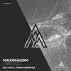 I See You (SNYL Remix) - Maximalism&SNYL