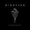 THE VENGEFUL - Nightjar