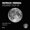 Insurrection - Patricio Pereira